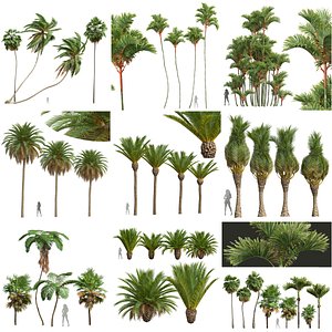 9 Different SETS of Tree Set Vol 24 3D