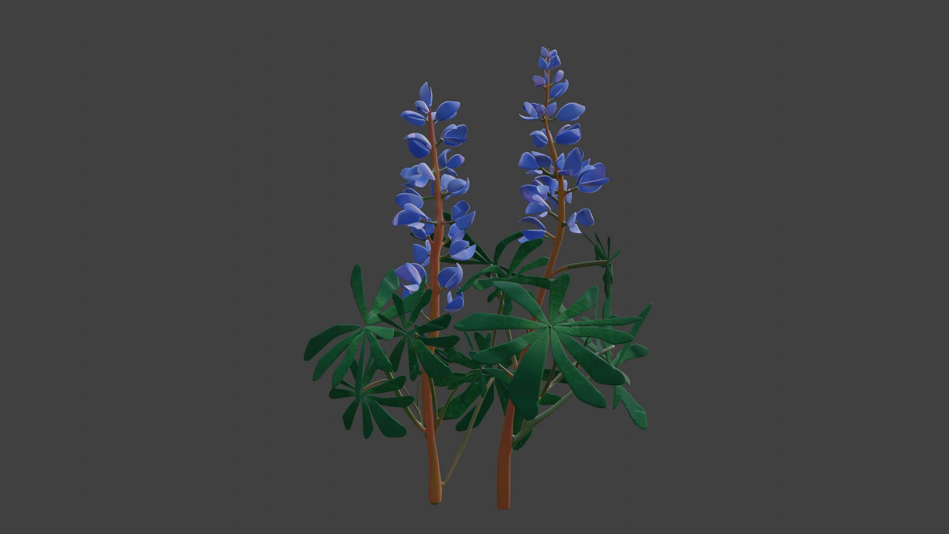 3D realistic sundial lupine https://p.turbosquid.com/ts-thumb/M8/1pQJkW/i8/slframe/jpg/1614592138/1920x1080/turn_fit_q99/f9c4e8e9a0ecf6199a8a28d788cdfaae68864f6b/slframe-1.jpg