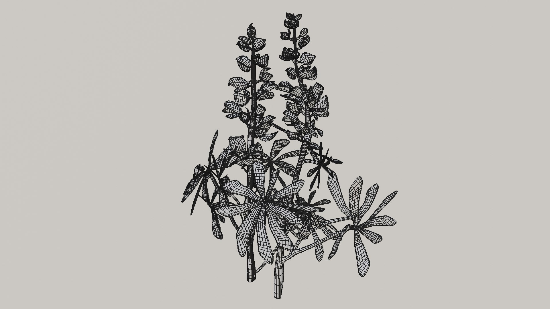 3D realistic sundial lupine https://p.turbosquid.com/ts-thumb/M8/1pQJkW/tO/wireframerenderingsl2/png/1614589615/1920x1080/fit_q87/ef67a50f15fc7acad08d752ef16c8b3feaef15ef/wireframerenderingsl2.jpg
