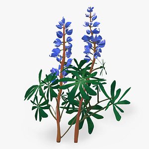 3D realistic sundial lupine