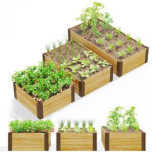 Kitchen garden  vol 8