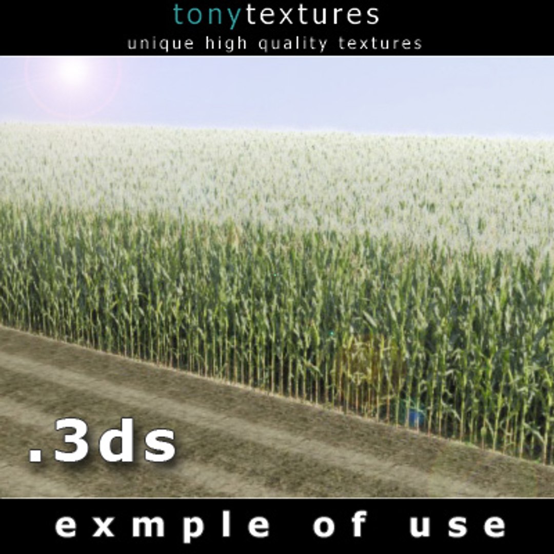 cornfield - resolution 3d model