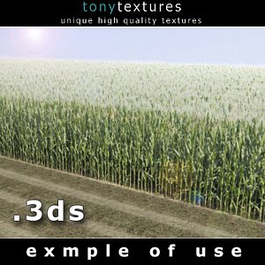 3D Cornfield  Model - High Resolution Texture
