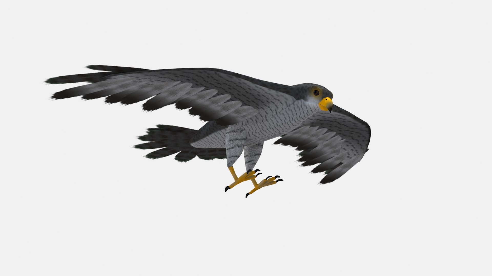 3D model falcon - TurboSquid 2042886