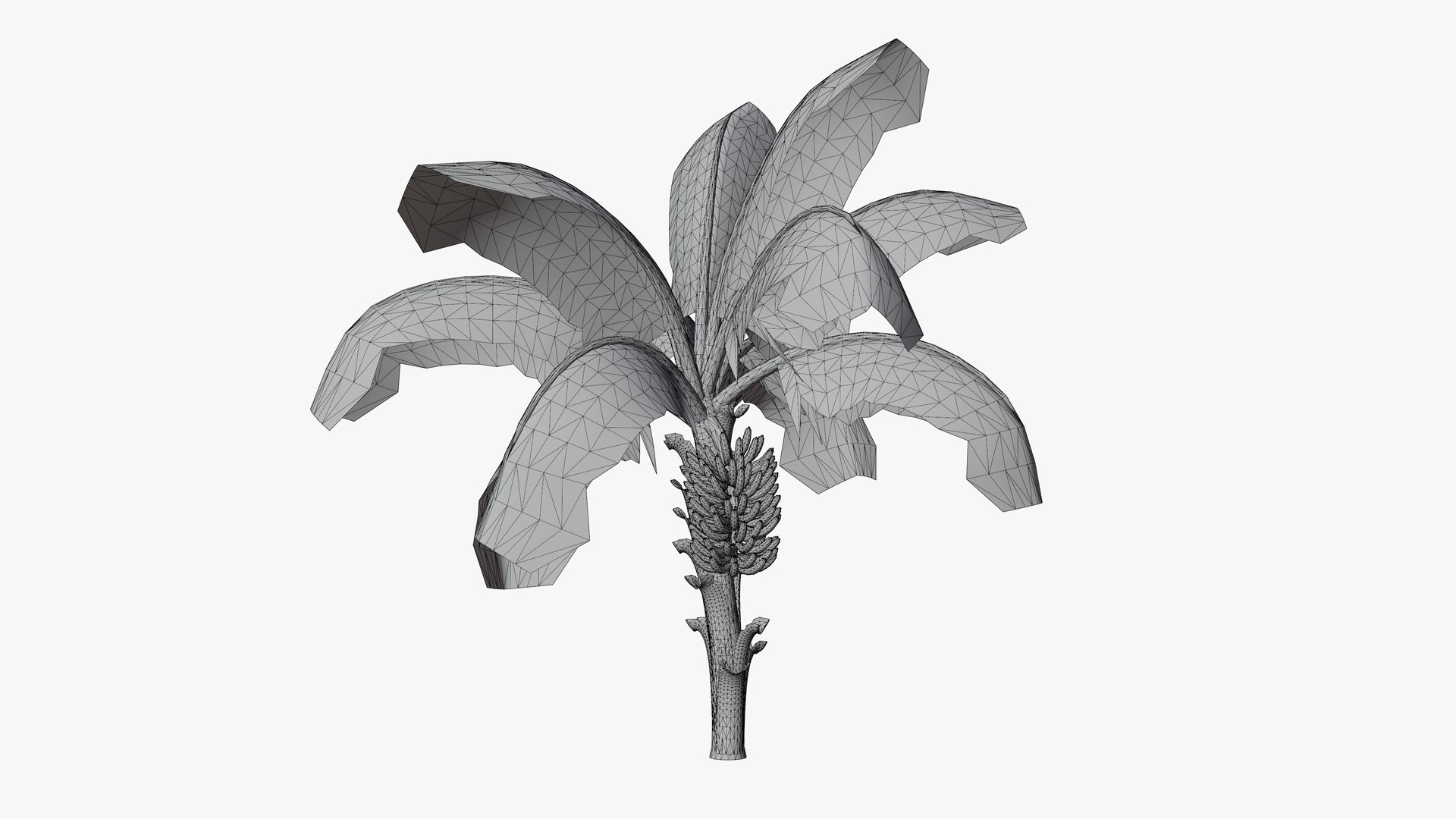Banana Tree With Banana Fruits 3D - TurboSquid 2031586