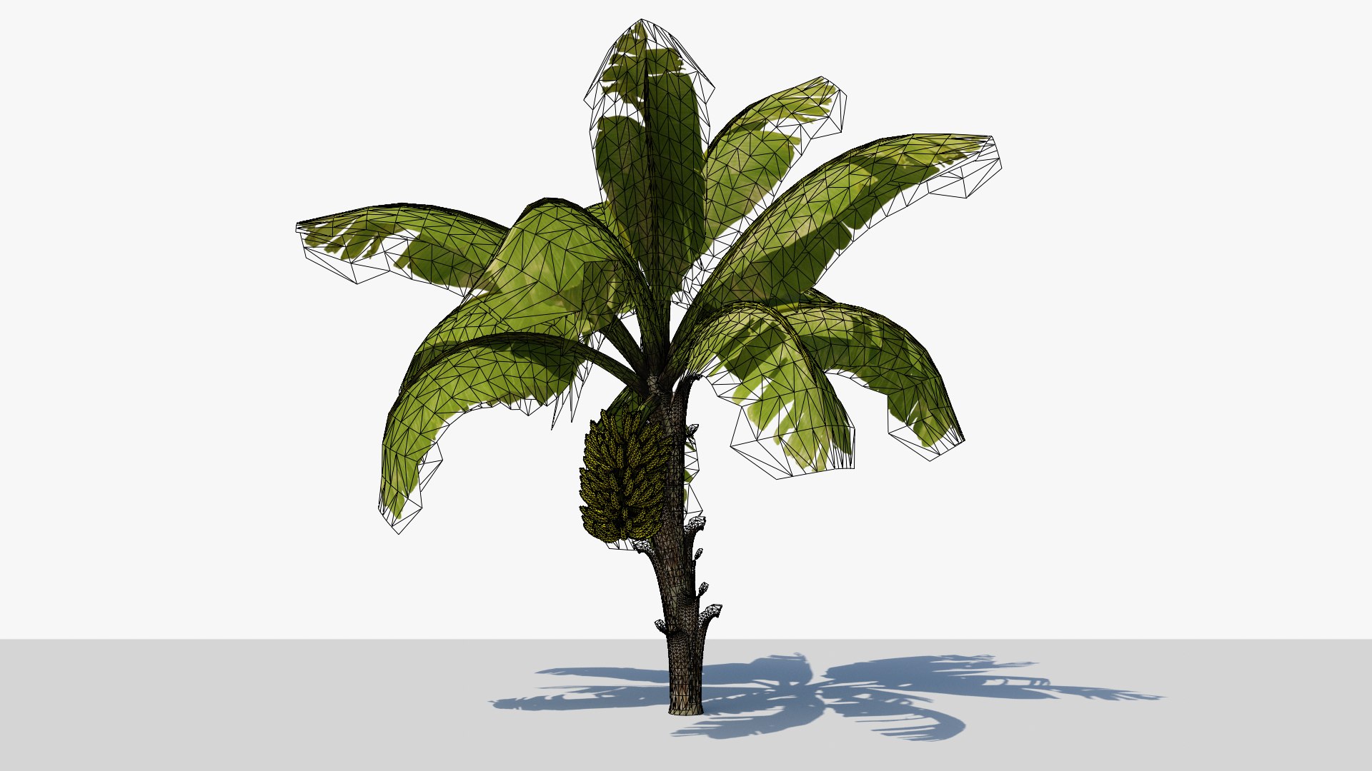 Banana Tree With Banana Fruits 3D - TurboSquid 2031586