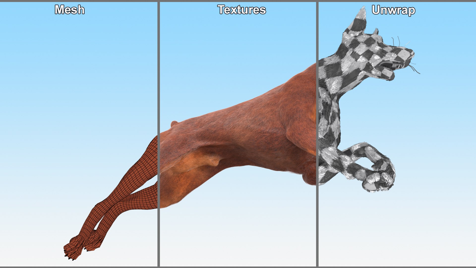 Doberman Dog Brown Running Fur model https://p.turbosquid.com/ts-thumb/M8/tBCdE4/sJ/dobermandogbrownrunningfurvray3dmodel012/jpg/1716429913/1920x1080/fit_q87/41501d6522c1396e3af6ba921170c78be67b2b59/dobermandogbrownrunningfurvray3dmodel012.jpg