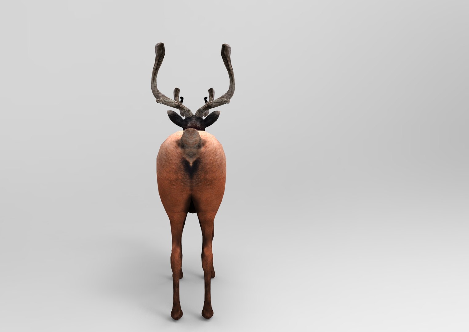 obj deer ready https://p.turbosquid.com/ts-thumb/M8/uEIwcX/FOol0c7M/untitled.751/jpg/1476986885/1920x1080/fit_q87/e1a9339a2176bdec66465b3af33c95a0c7567399/untitled.751.jpg