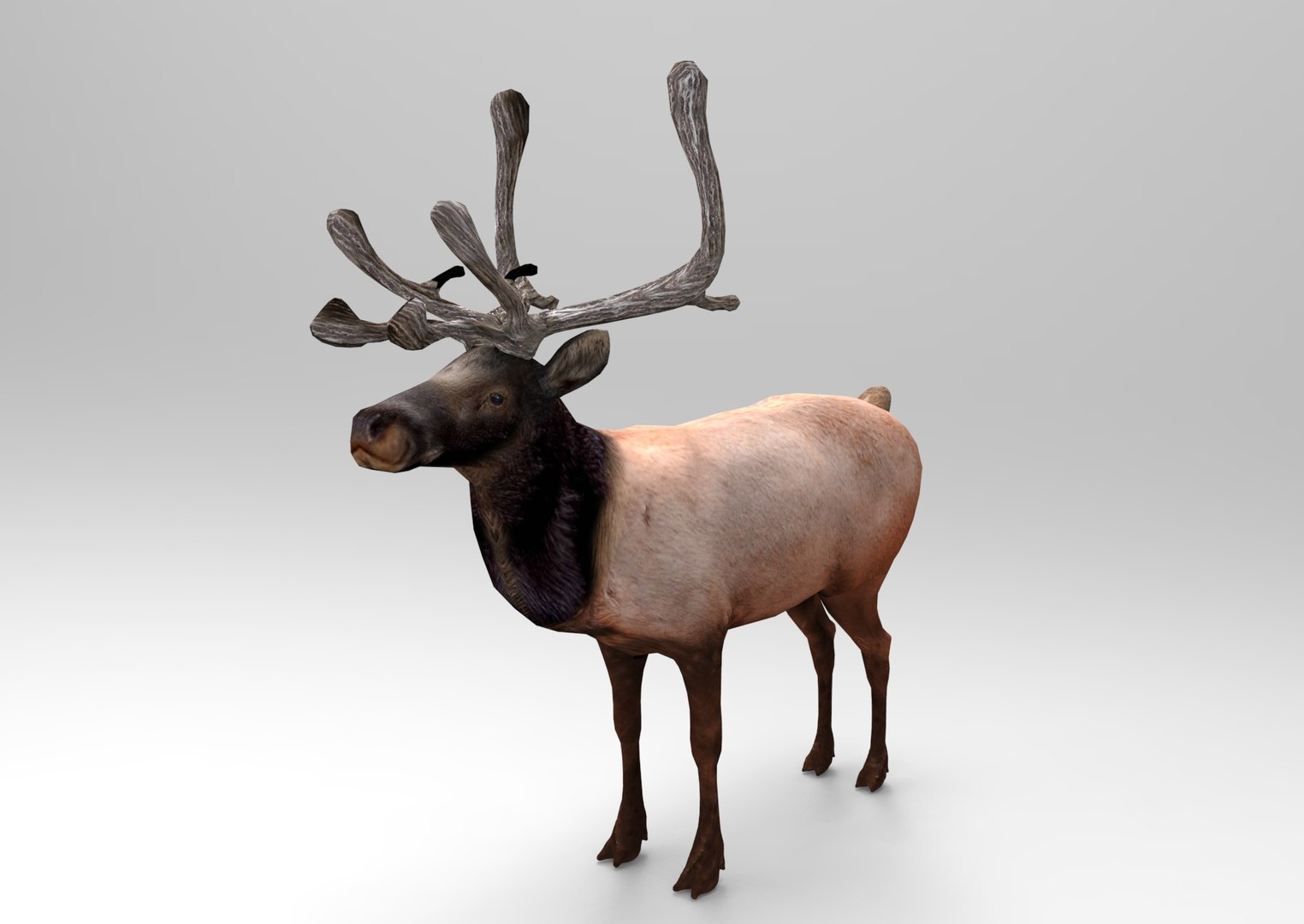 obj deer ready https://p.turbosquid.com/ts-thumb/M8/uEIwcX/J7nf0mAk/untitled.748/jpg/1476986857/1920x1080/fit_q87/592690bb9ebf94812c87724b3ccd7db767d11380/untitled.748.jpg
