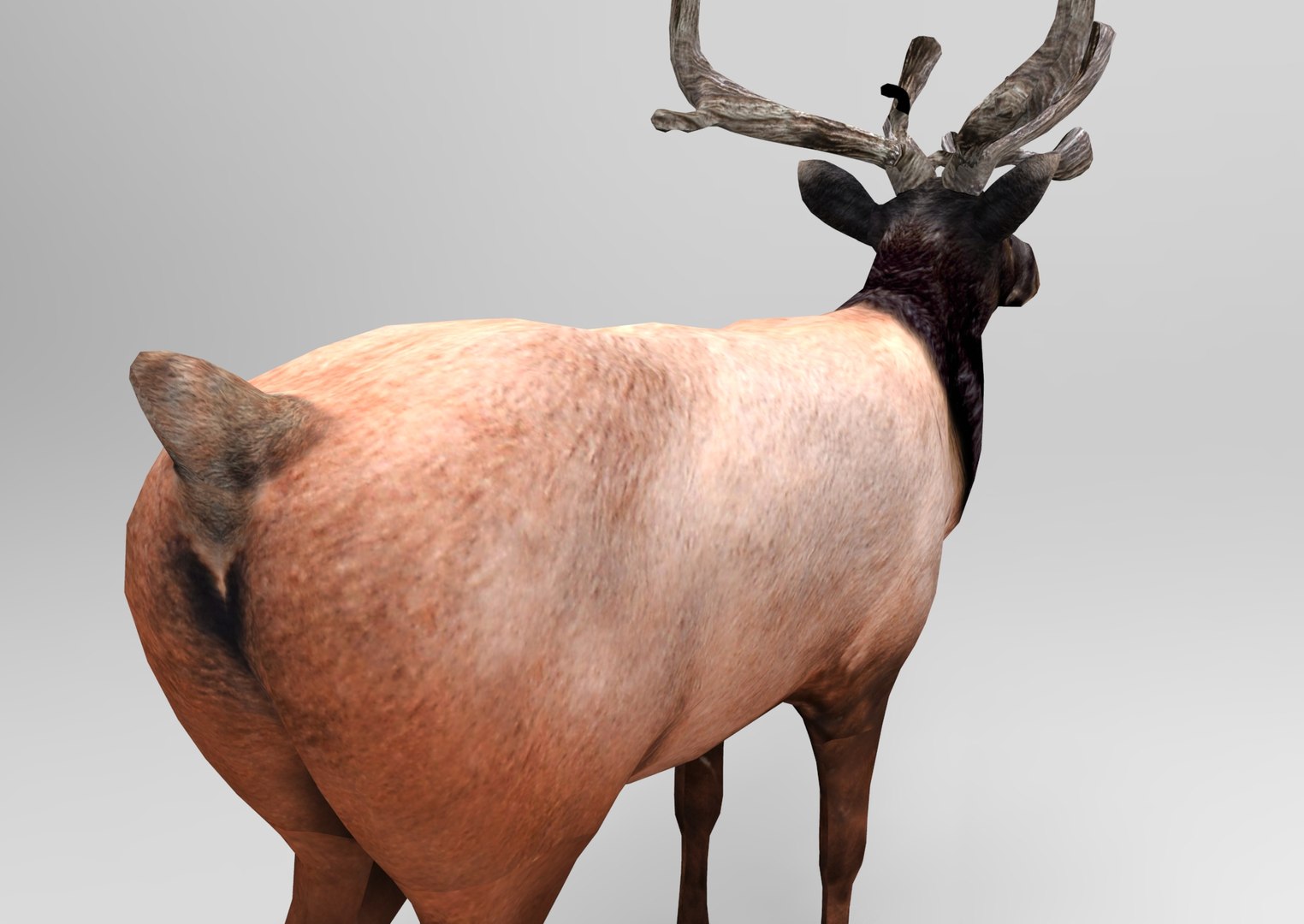 obj deer ready https://p.turbosquid.com/ts-thumb/M8/uEIwcX/MtEha9dB/untitled.755/jpg/1476986929/1920x1080/fit_q87/7cdbab9b12b7ab5c5517b31ce38aa9618480fb30/untitled.755.jpg