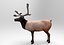 modelo de veado low poly game pronto