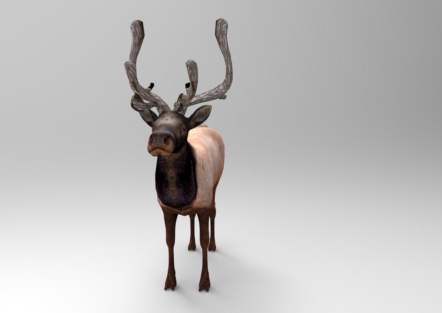 obj deer ready https://p.turbosquid.com/ts-thumb/M8/uEIwcX/if6B7y0i/untitled.758/jpg/1476986975/1920x1080/fit_q87/645995011907532c2c7eb6f30f04ee9ce160d7a7/untitled.758.jpg