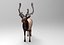 modelo de veado low poly game pronto