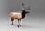 modelo de veado low poly game pronto