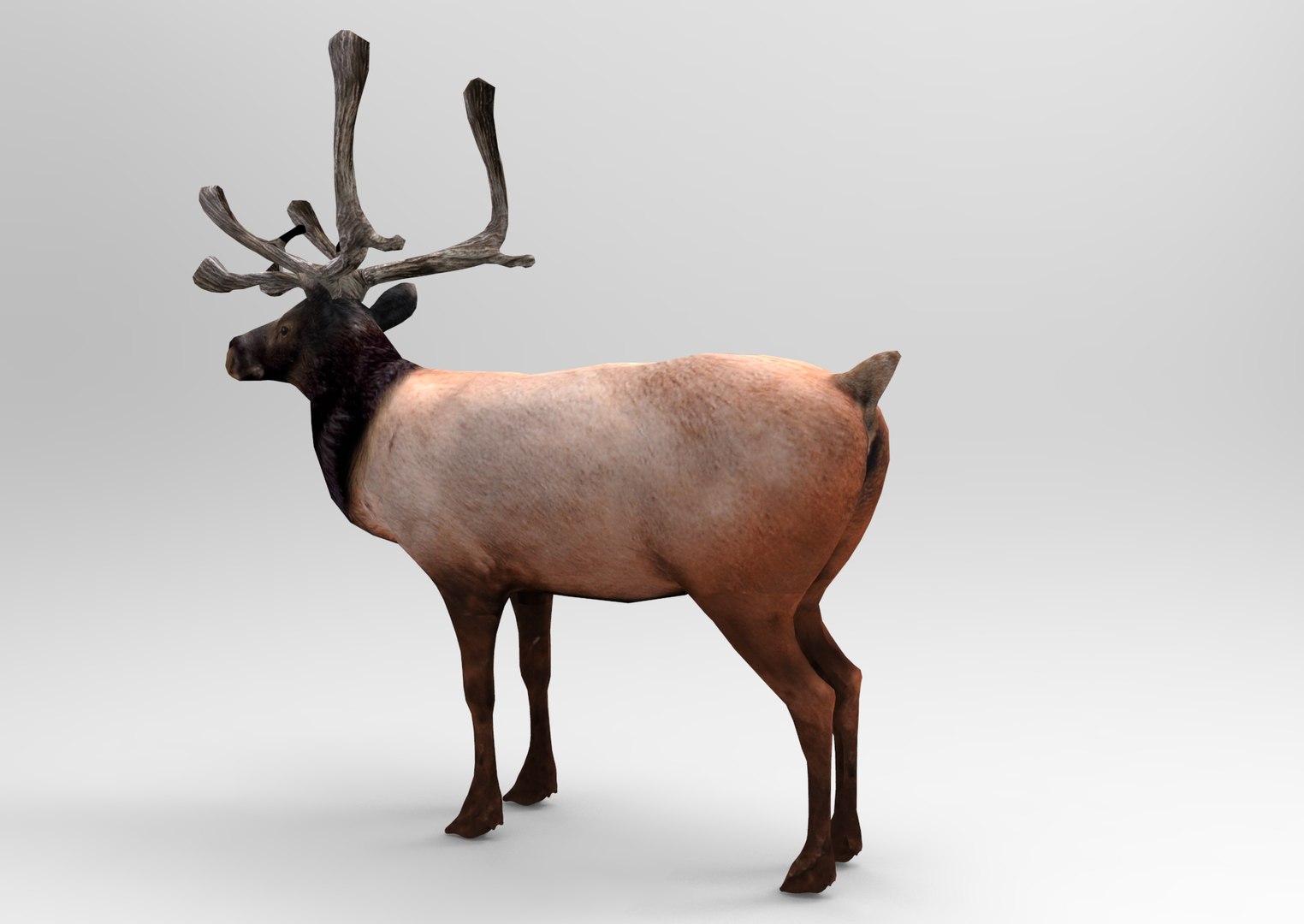 obj deer ready https://p.turbosquid.com/ts-thumb/M8/uEIwcX/wB5aclMy/untitled.750/jpg/1476986885/1920x1080/fit_q87/154926924062a7b9a106342182e605625d72b4df/untitled.750.jpg