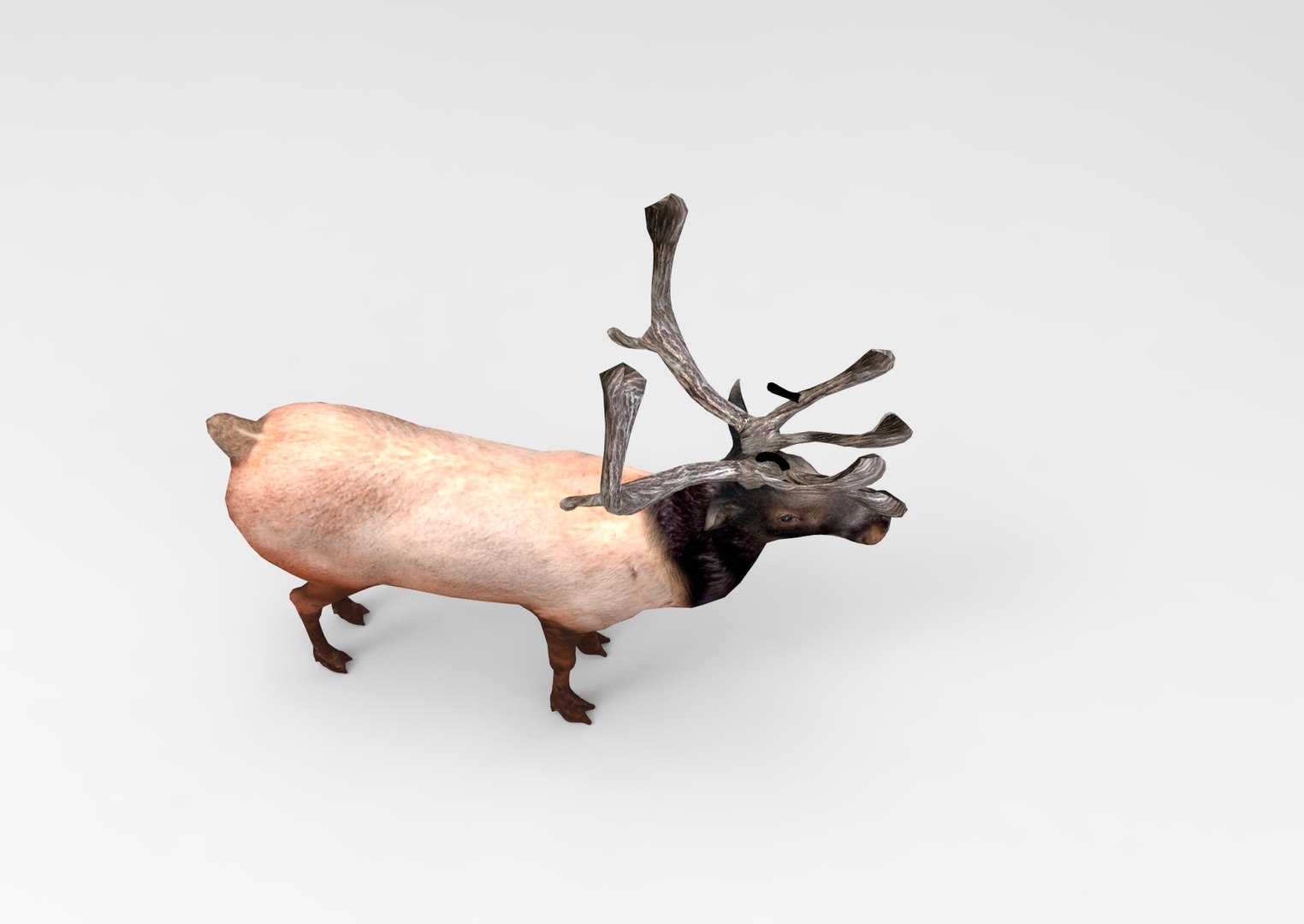 obj deer ready https://p.turbosquid.com/ts-thumb/M8/uEIwcX/xxMpYMXM/untitled.754/jpg/1476986929/1920x1080/fit_q87/f3a5fea981ba5a7f821e3ac55cfef425e349b815/untitled.754.jpg