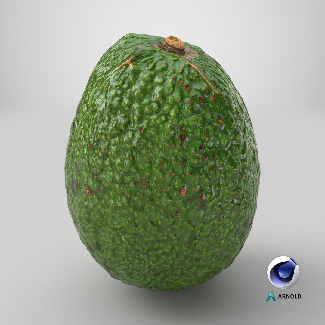 Whole Avocado 02 model https://p.turbosquid.com/ts-thumb/M8/yF3GAR/2u/stemcell_cinema_4d_arnold_render/png/1761054802/1920x1080/fit_q87/191615afd646b1961c6d58596083c677f88a059c/stemcell_cinema_4d_arnold_render.jpg
