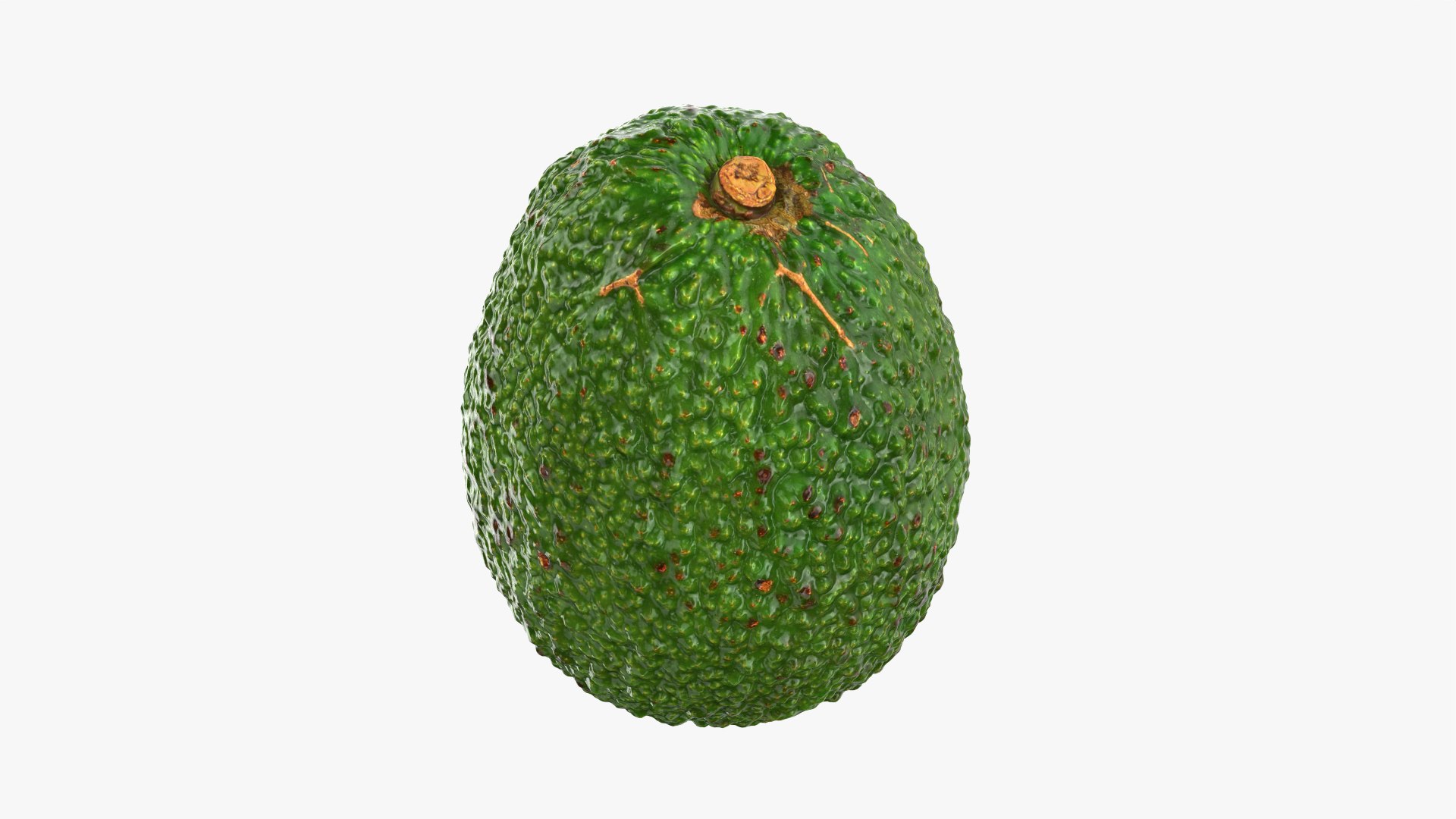 Whole Avocado 02 model https://p.turbosquid.com/ts-thumb/M8/yF3GAR/5f/avocadowhole02_0003/png/1760295111/1920x1080/fit_q87/8a677fd3372520d162659851614f3d2a28b5eec4/avocadowhole02_0003.jpg