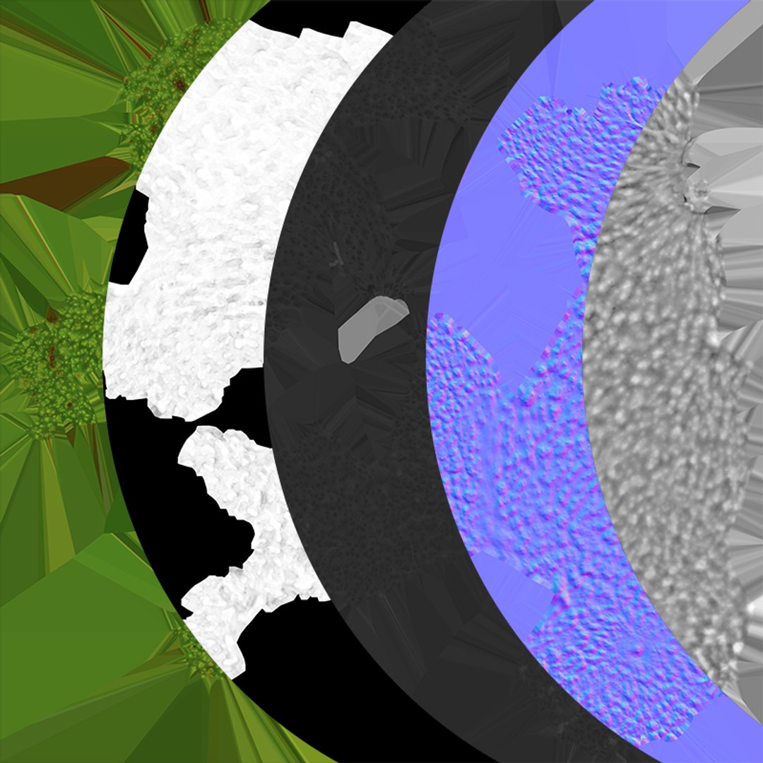 Whole Avocado 02 model https://p.turbosquid.com/ts-thumb/M8/yF3GAR/VJ/avocadowhole02_c0005/png/1760295131/1920x1080/fit_q87/d73845e632ab40307210cbae8895c6ab35cd643f/avocadowhole02_c0005.jpg