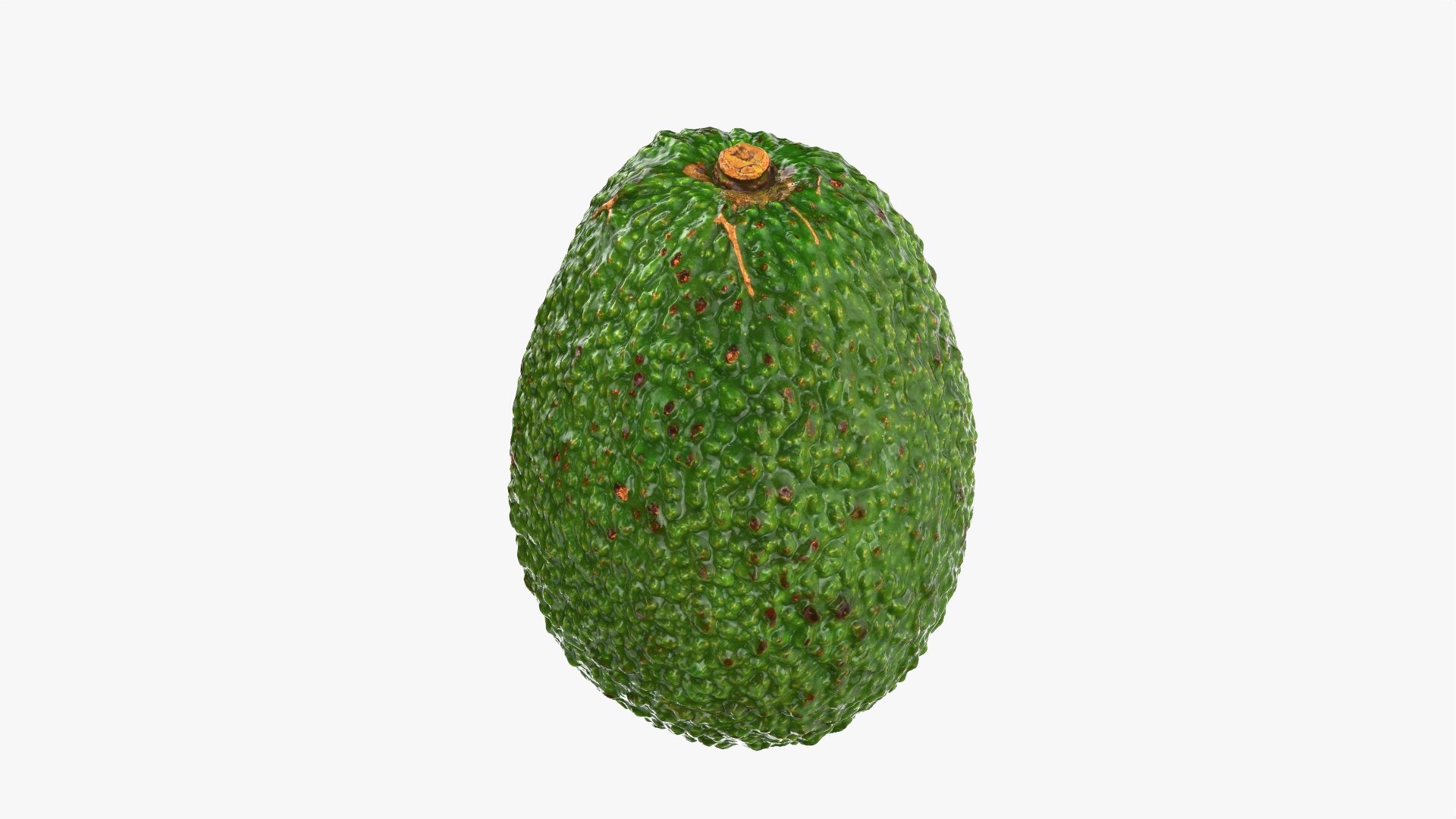 Whole Avocado 02 model https://p.turbosquid.com/ts-thumb/M8/yF3GAR/Ve/avocadowhole02_0010/png/1760295123/1920x1080/fit_q87/56131c111e2dfa2dbd3cb43823bb3091e4c78628/avocadowhole02_0010.jpg