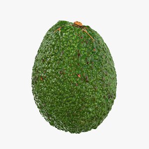 Whole Avocado 02 model