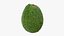 Avocado intero 02