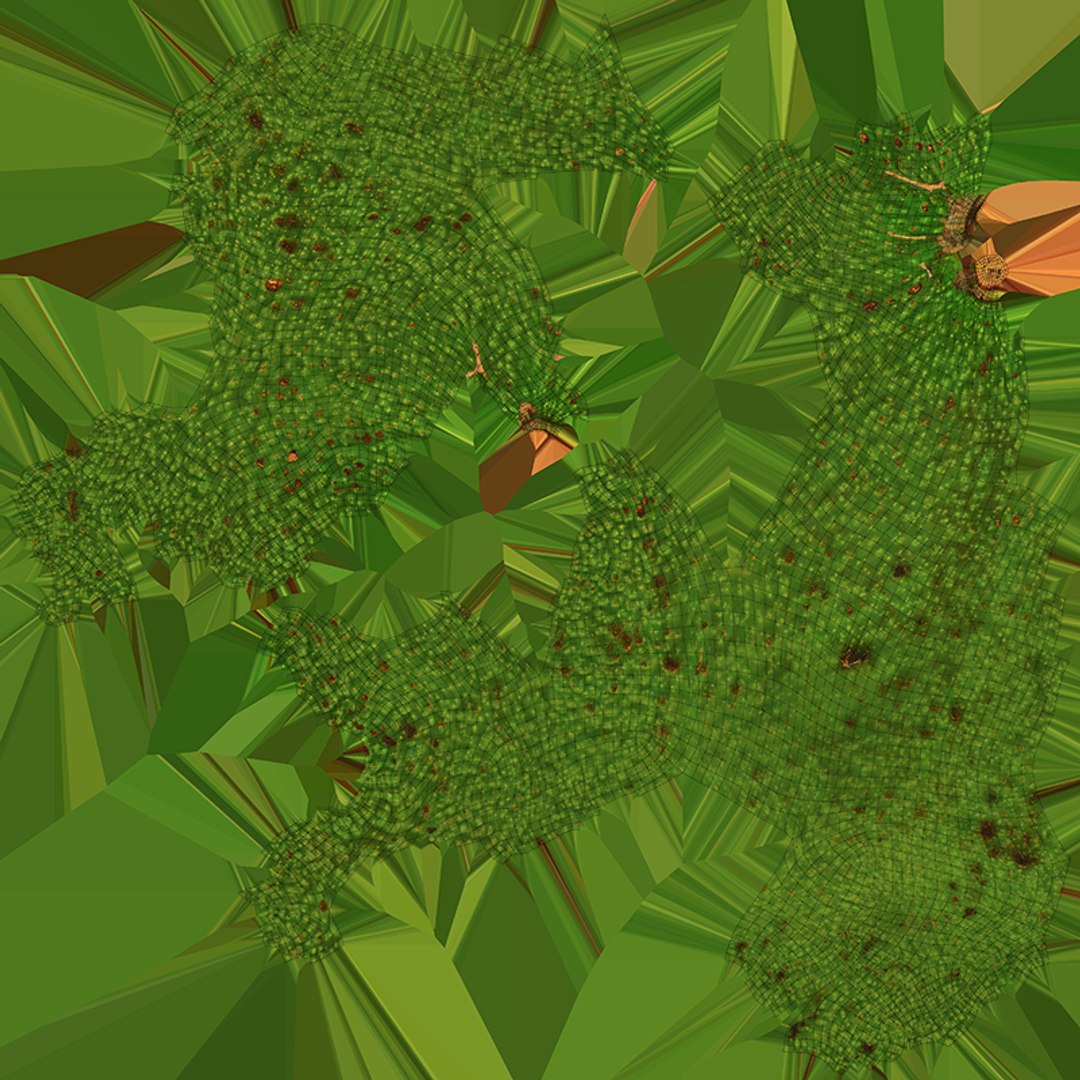 Whole Avocado 02 model https://p.turbosquid.com/ts-thumb/M8/yF3GAR/wB/avocadowhole02_c0004/png/1760295131/1920x1080/fit_q87/0dbd882e6c8c0279b34483ad52e3949d8db2dc02/avocadowhole02_c0004.jpg