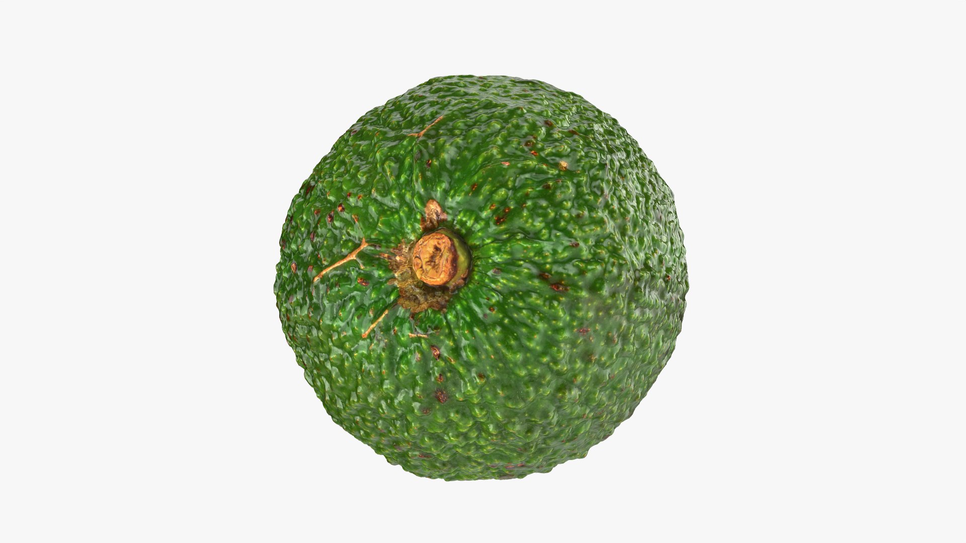 Whole Avocado 02 model https://p.turbosquid.com/ts-thumb/M8/yF3GAR/yC/avocadowhole02_0006/png/1760295121/1920x1080/fit_q87/45406146ddb2b6a598b4f80edd0500fa5b515234/avocadowhole02_0006.jpg