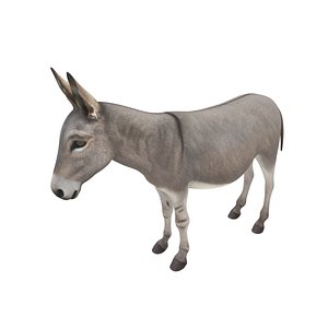Four-Legged Livestock Donkey Rigged for Cinema 4D