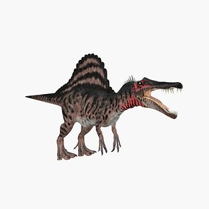 3D Spinosaurus