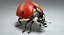 ladybug fur ornatrix 2 3D model