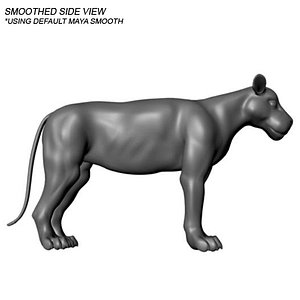 lion animation 3d model