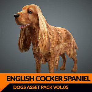 Real-Time Dog Cocker Spaniel - 1