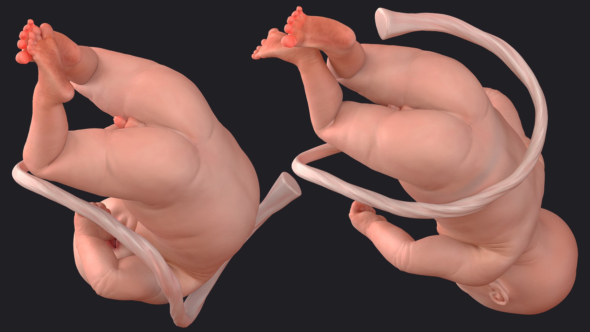 baby boy 32 weeks 3D model https://p.turbosquid.com/ts-thumb/M9/NPrte6/Bg9nFVIs/babyboyat32weeksriggedc4dmodel012/jpg/1608998398/1920x1080/fit_q87/1c900f60ef03fe85a85da4b3c0fe64e19193632f/babyboyat32weeksriggedc4dmodel012.jpg