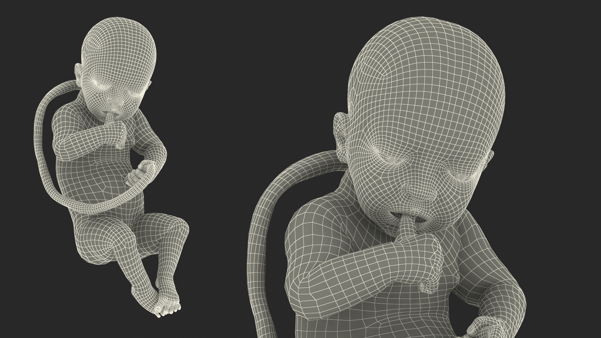 baby boy 32 weeks 3D model https://p.turbosquid.com/ts-thumb/M9/NPrte6/mucujVmJ/baby_boy_at_32_weeks_rigged_361/jpg/1608996396/1920x1080/turn_fit_q99/afe9812b91105d2c6cb79738cd605b094dc7303b/baby_boy_at_32_weeks_rigged_361-1.jpg