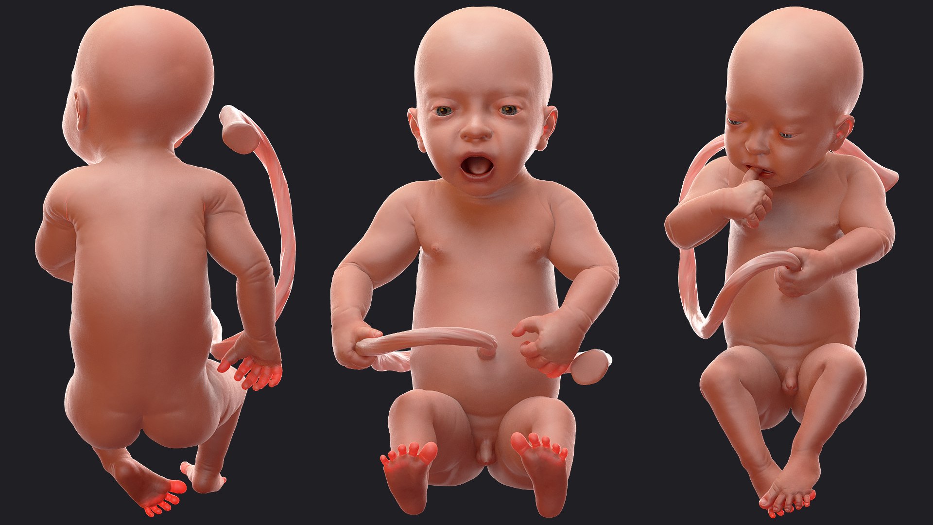 baby boy 32 weeks 3D model https://p.turbosquid.com/ts-thumb/M9/NPrte6/y3yMr8qv/babyboyat32weeksriggedc4dmodel010/jpg/1608998375/1920x1080/fit_q87/092bbfe2c7b110e6ded208f5042f28c2edb5db16/babyboyat32weeksriggedc4dmodel010.jpg