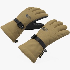 The North Face Mens Montana Etip GTX Mitt Gloves Beige