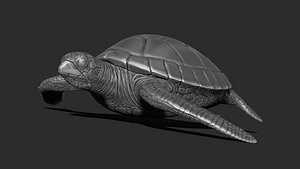 Turtle print 3D model