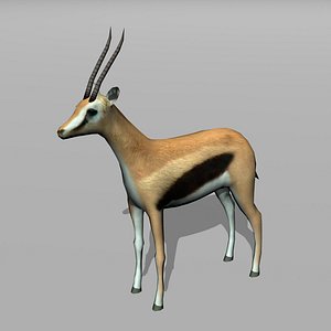 thomson gazelle 3d model