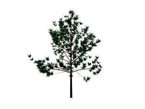 trees 3d model