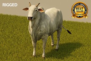 Cattle