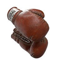 Everlast Realistic Boxing Gloves