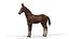 Pele de mula baia armada