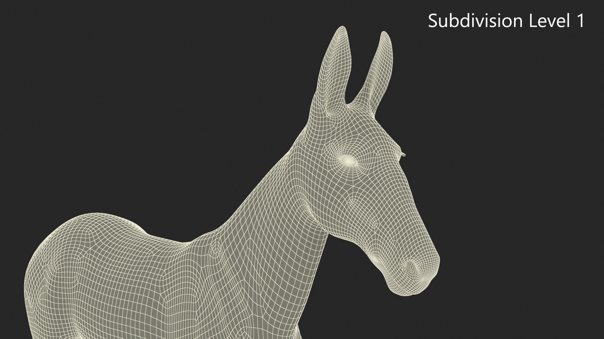 3D Bay Mule Fur Rigged https://p.turbosquid.com/ts-thumb/M9/drtJQT/Q8/bay_mule_fur_rigged_023/jpg/1730415446/1920x1080/fit_q87/c6c3a2b389dc10cfc4d728e3ac601875b5e47c1c/bay_mule_fur_rigged_023.jpg
