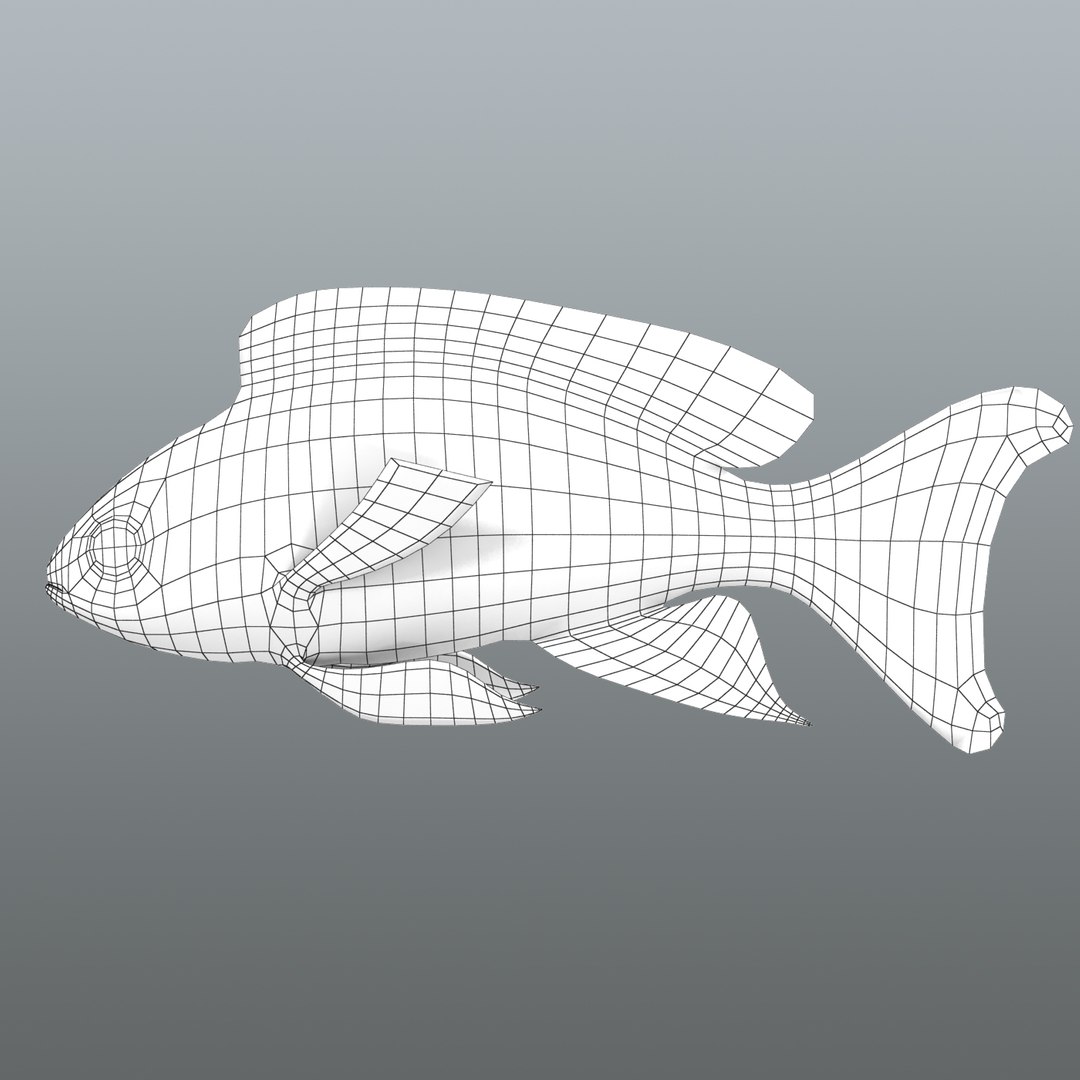 3d neon anthias fish https://p.turbosquid.com/ts-thumb/M9/n9YpJx/GmXdYgSR/anthias_r1wa/jpg/1357837567/1920x1080/fit_q87/9f2da1072188e348ed64aea0cd9489090c111031/anthias_r1wa.jpg