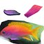 Neon Anthias