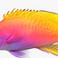 Neon Anthias