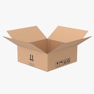 3D Cardboard Box 50x50x20 Half Open