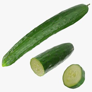 Japanese Cucumber Collection 01