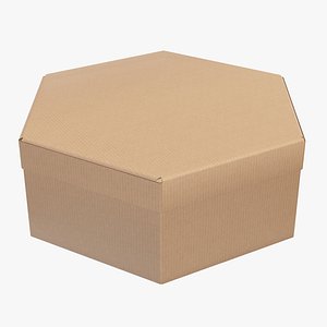 packaging corrugated cardboard model